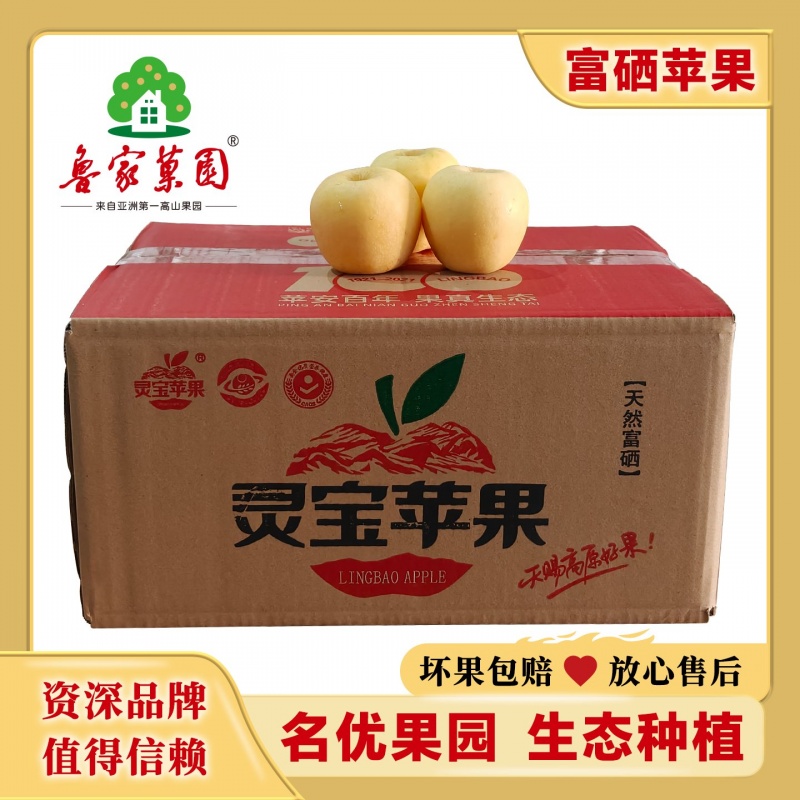 維納斯黃金蘋果家庭實(shí)惠裝65#